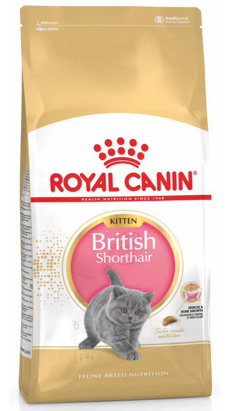 Royal Canin BRIT SHORTHAIR (10) для котів