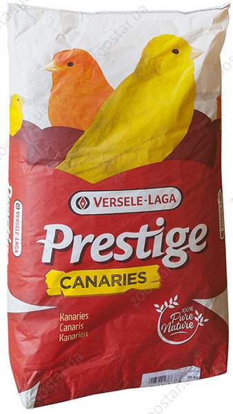 VL Prestige КАНАРКА (5)
