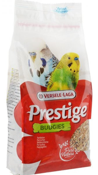 VL Prestige ПАПУЖКА (5)